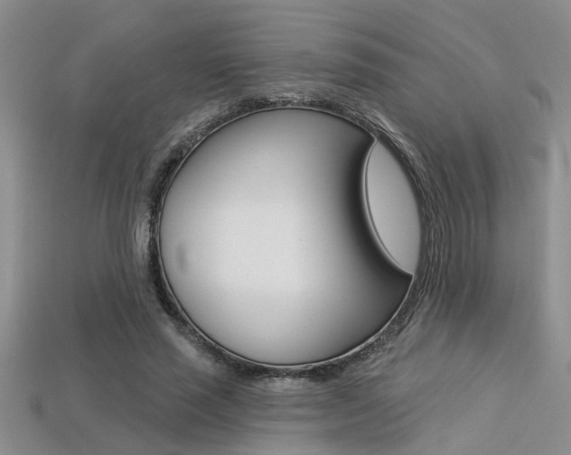 X0000113270637200909101311
