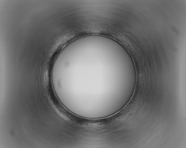 X0000113270638200909101311