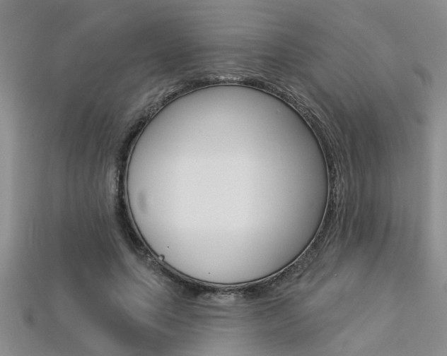 X0000113270639200909101311