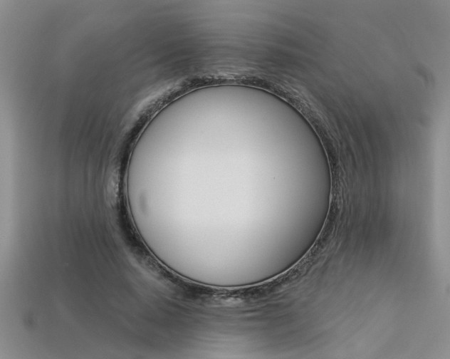 X0000113270640200909101311