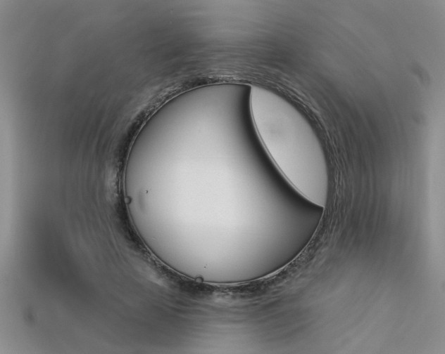 X0000113270641200909101311