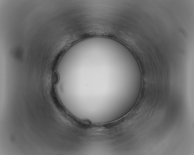 X0000113270642200909101311