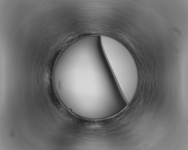 X0000113270643200909101312