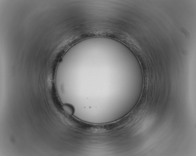 X0000113270644200909101312