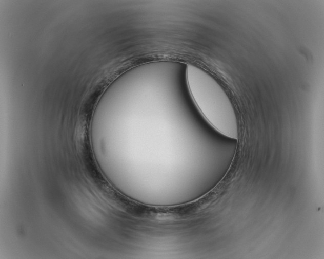 X0000113270645200909101312