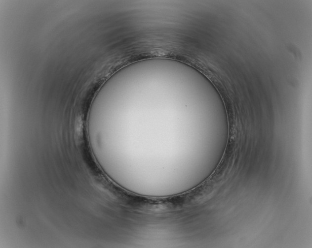 X0000113270646200909101312