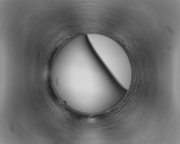 X0000113270647200909101312