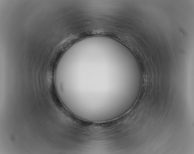X0000113270648200909101312
