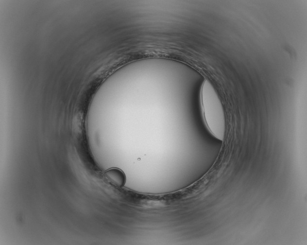 X0000113270649200909101312