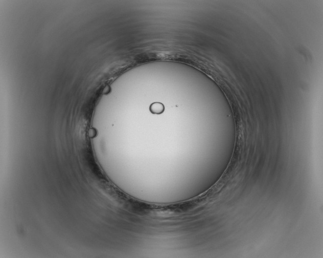 X0000113270650200909101312