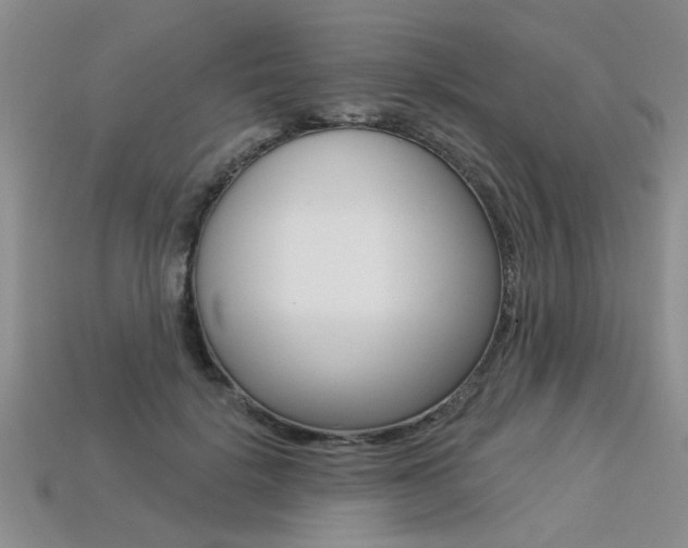 X0000113270652200909101312