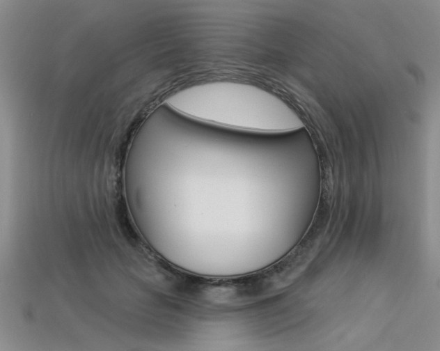 X0000113270653200909101312