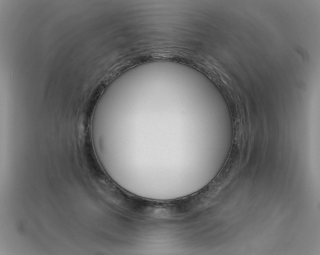 X0000113270655200909101312