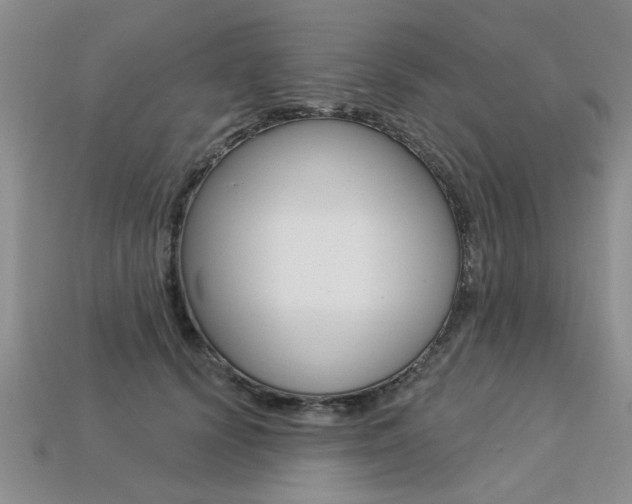 X0000113270656200909101312