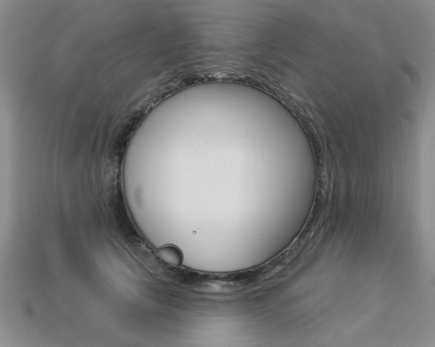 X0000113270657200909101312