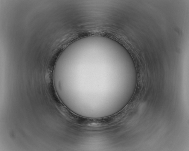 X0000113270658200909101312