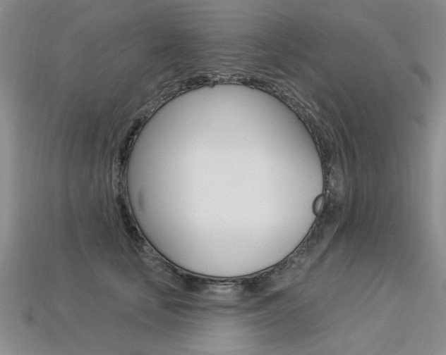 X0000113270659200909101312