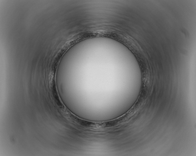 X0000113270660200909101312