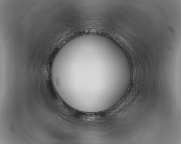 X0000113270661200909101312