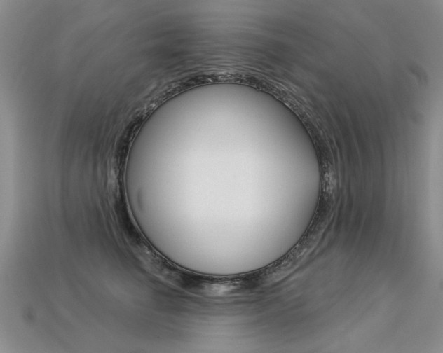 X0000113270662200909101312