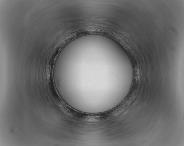 X0000113270664200909101312