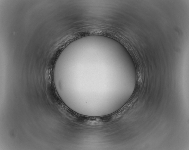 X0000113270666200909101312