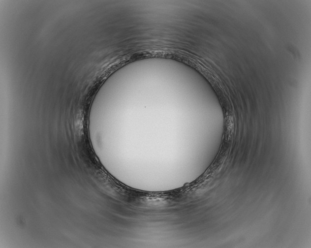 X0000113270668200909101312