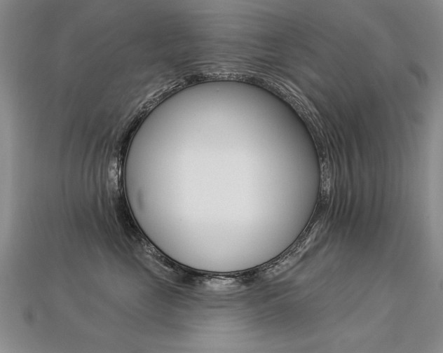 X0000113270669200909101312