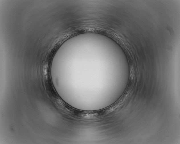 X0000113270670200909101312