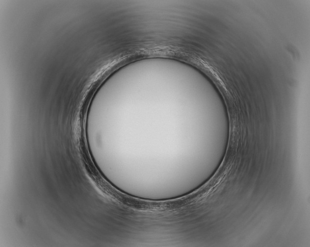 X0000113270674200909101311