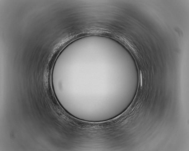 X0000113270675200909101311