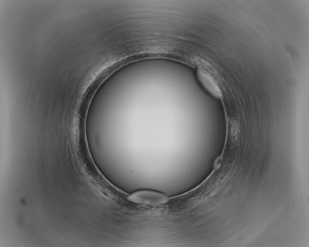 X0000113270676200909101311