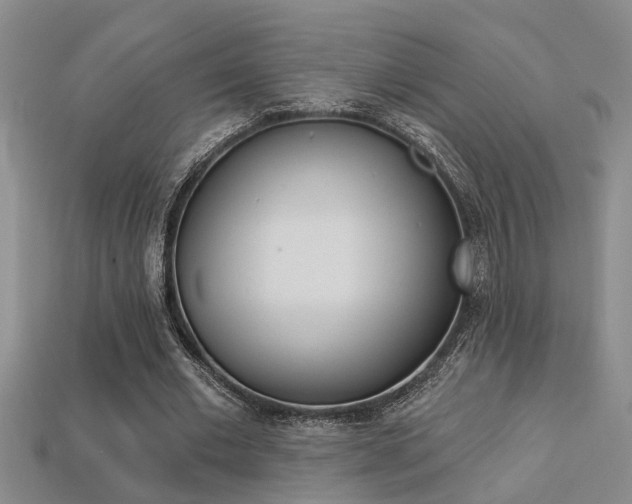 X0000113270677200909101311