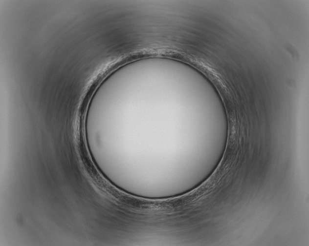 X0000113270678200909101311