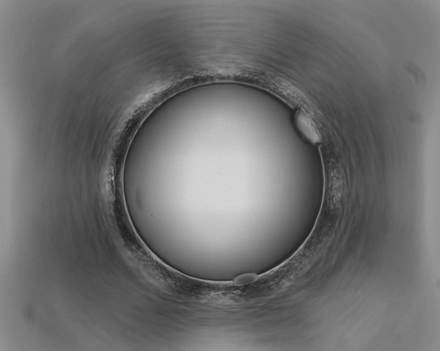 X0000113270680200909101311