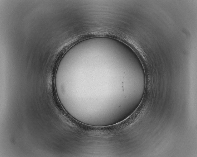 X0000113270681200909101311