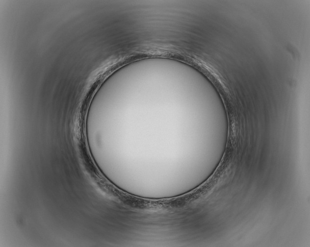 X0000113270682200909101311