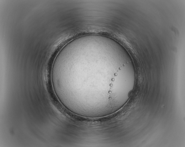 X0000113270683200909101311
