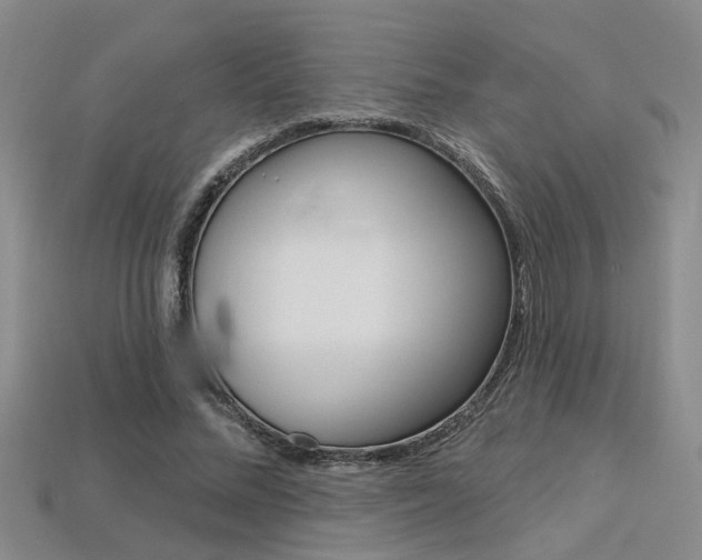 X0000113270684200909101311