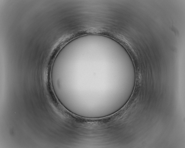 X0000113270686200909101311
