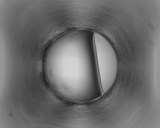 X0000113270689200909101311
