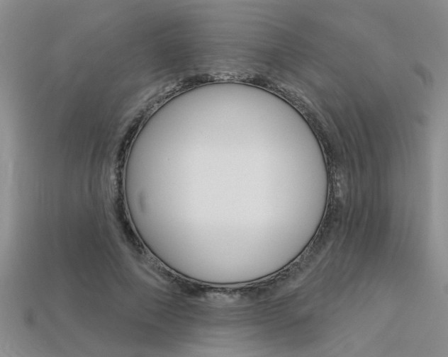 X0000113270690200909101311