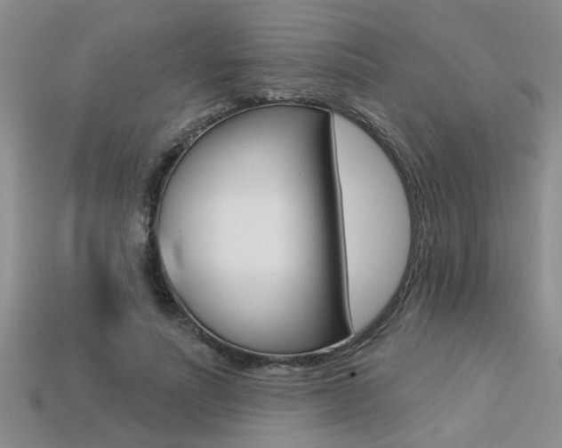 X0000113270691200909101311