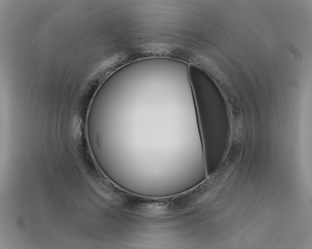 X0000113270692200909101311