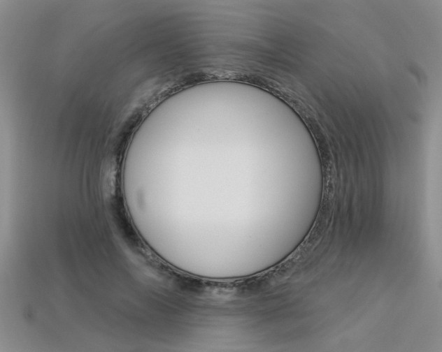 X0000113270694200909101311