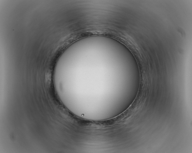 X0000113270697200909101311