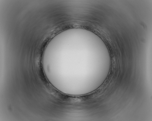 X0000113270698200909101311