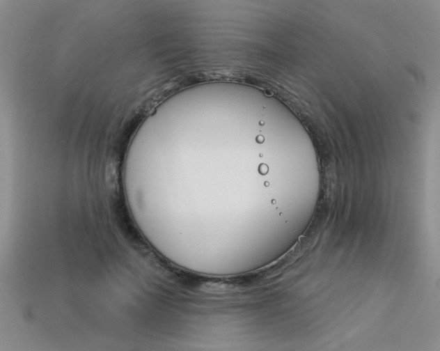 X0000113270699200909101311