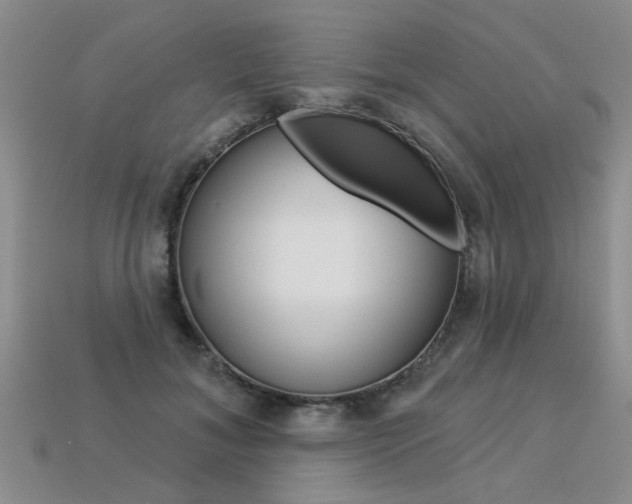 X0000113270700200909101311