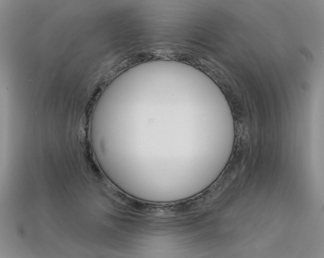 X0000113270702200909101311